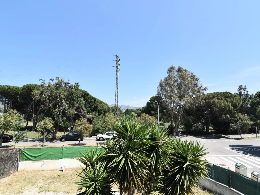 Location de Vacances Roses 492