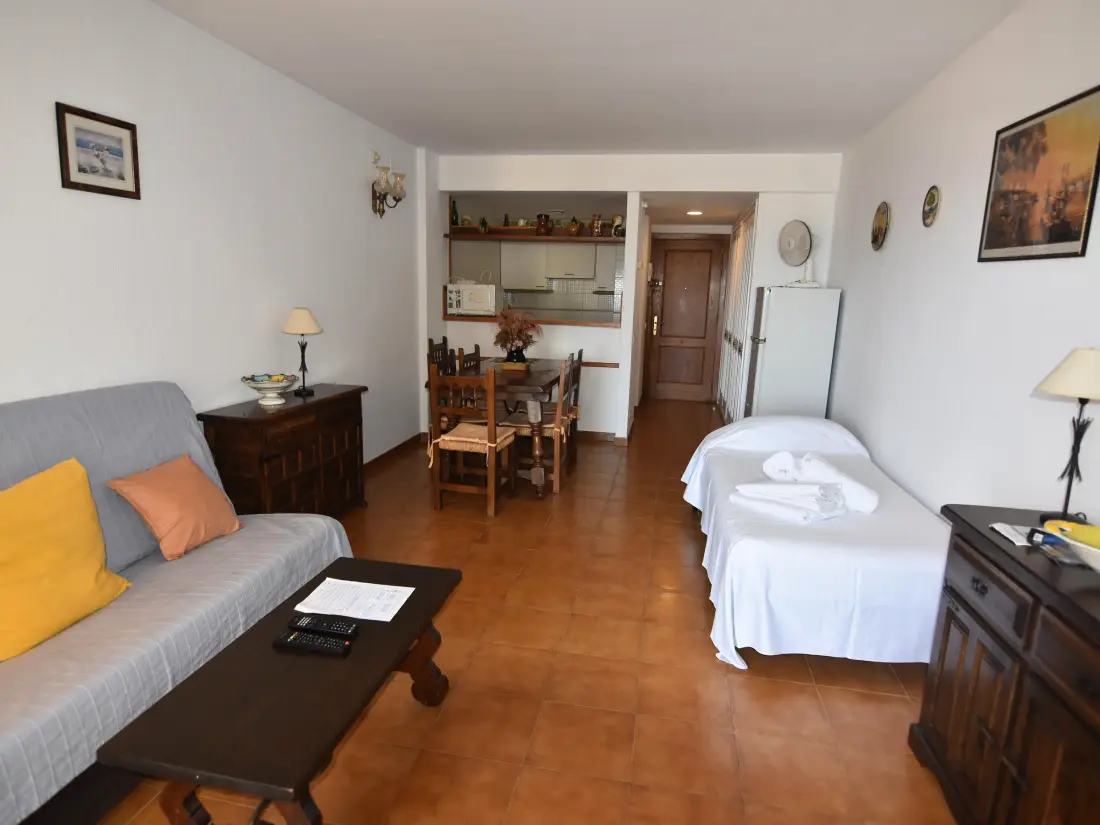 Location de Vacances Roses 494