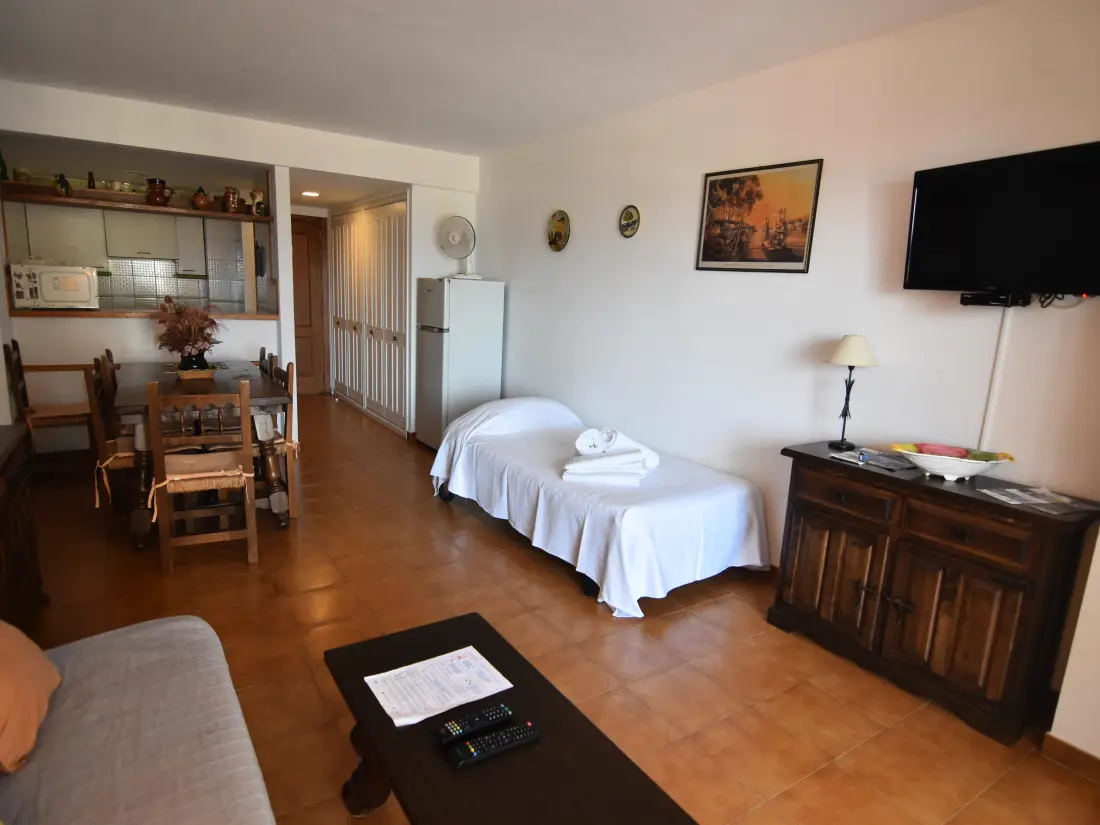 Location de Vacances Roses 494
