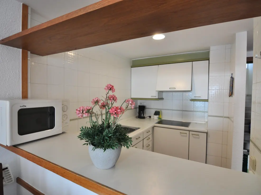 Location de Vacances Roses 494