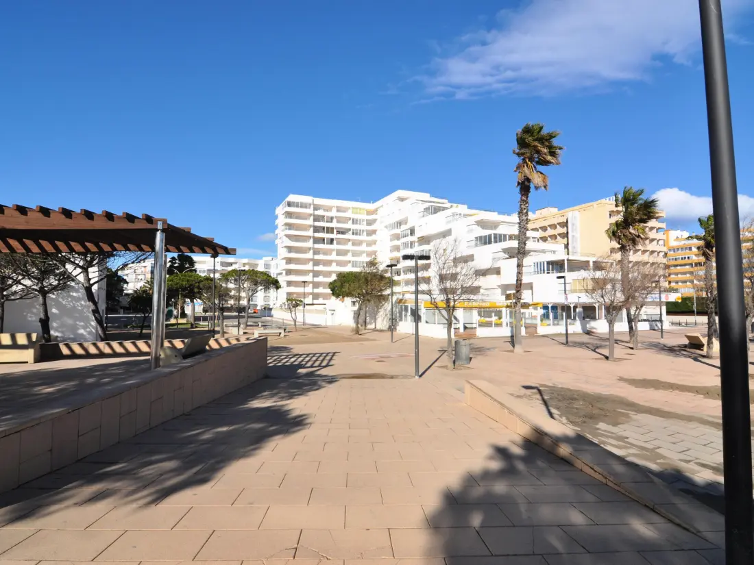 Location de Vacances Roses 494