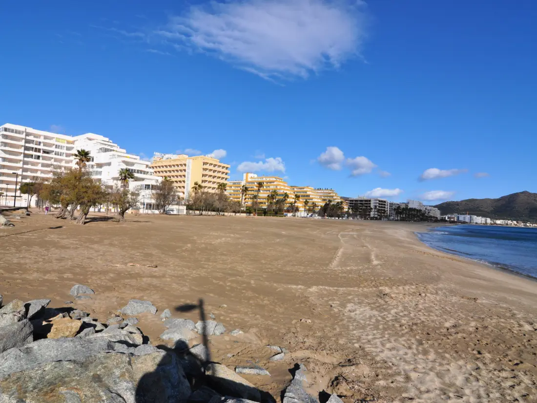 Location de Vacances Roses 494