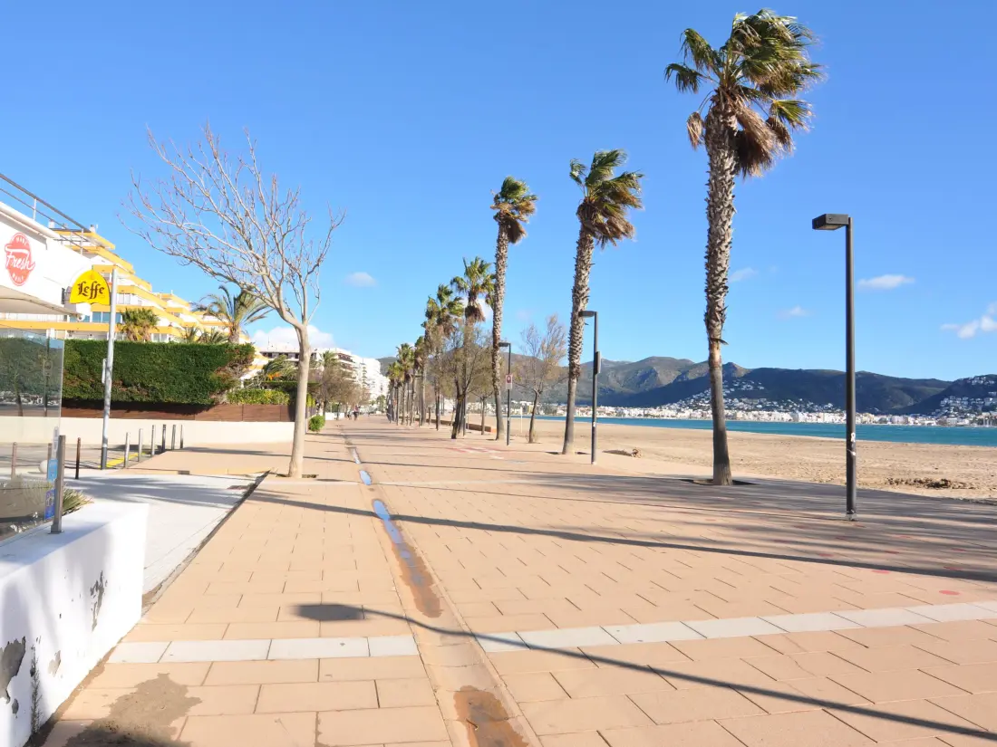 Location de Vacances Roses 494