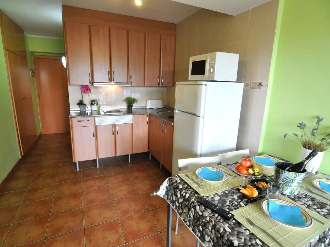 Location de Vacances Roses 496