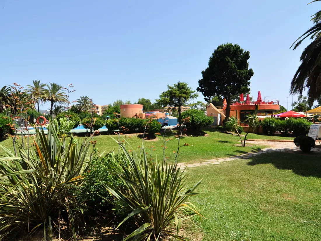 Location de Vacances Roses 496