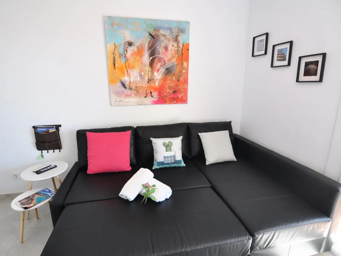 Location de Vacances Roses 500
