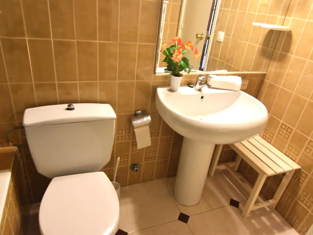 Location de Vacances Roses 501