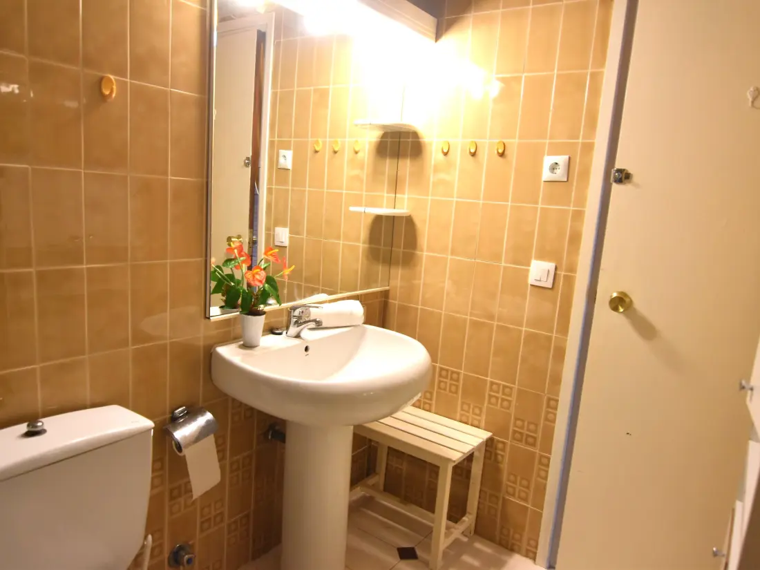 Location de Vacances Roses 501