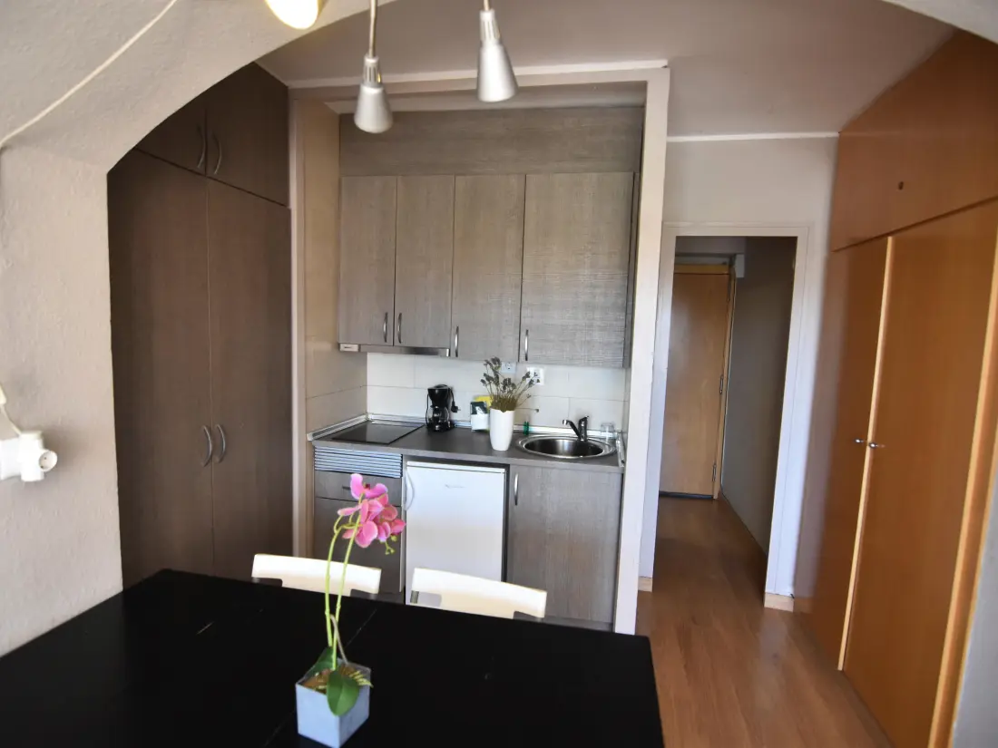 Location de Vacances Roses 502