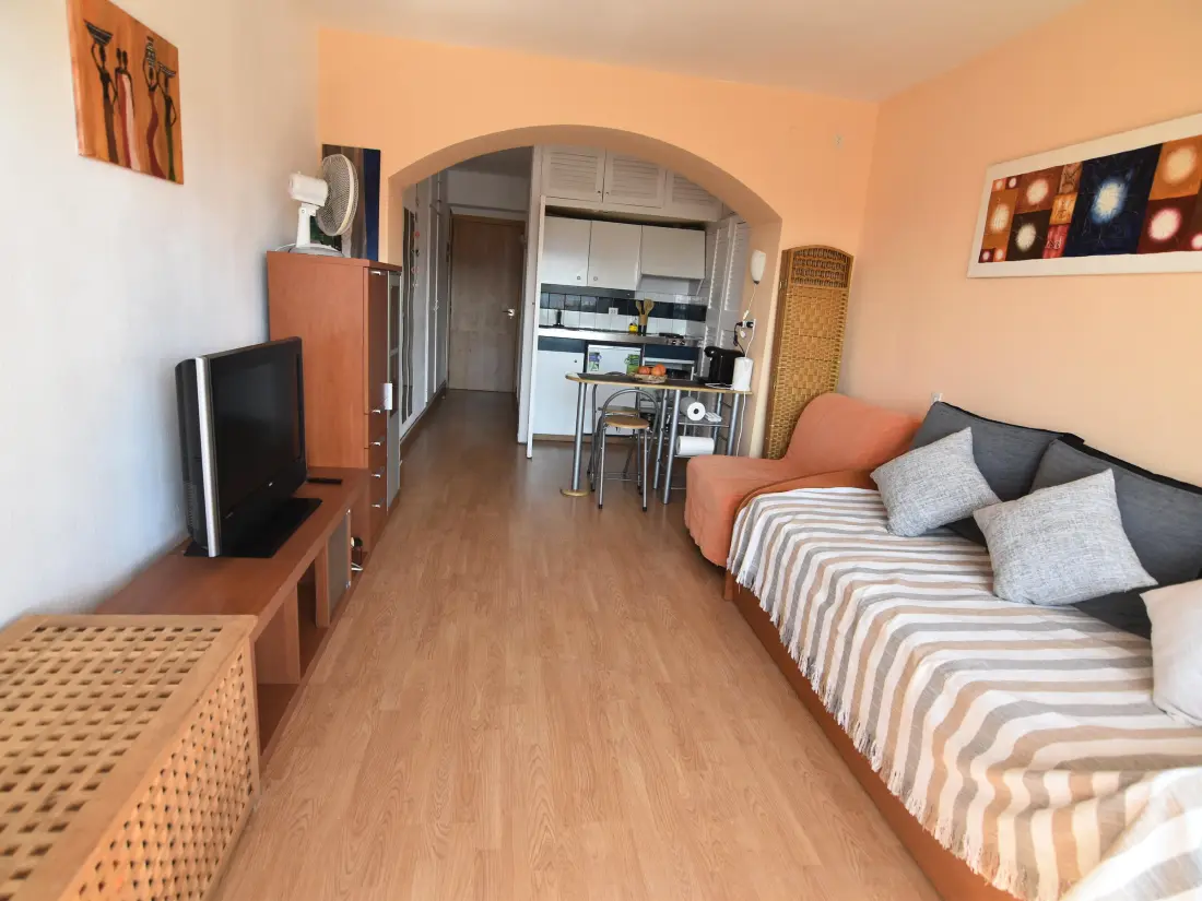 Location de Vacances Roses 505