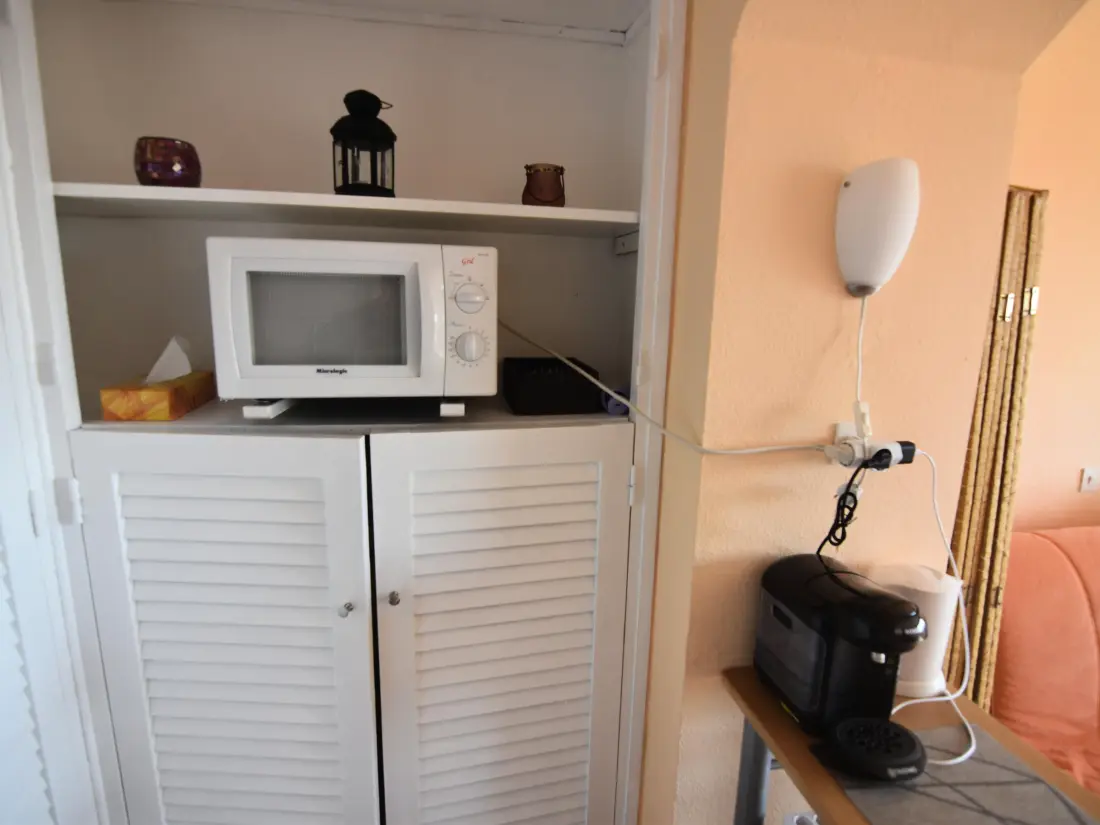Location de Vacances Roses 505
