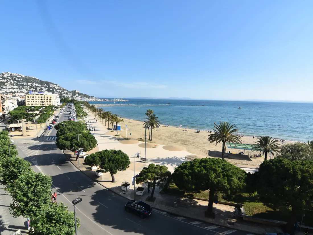 Location de Vacances Roses 507