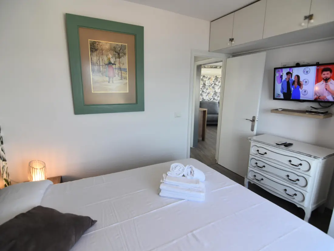 Location de Vacances Roses 507