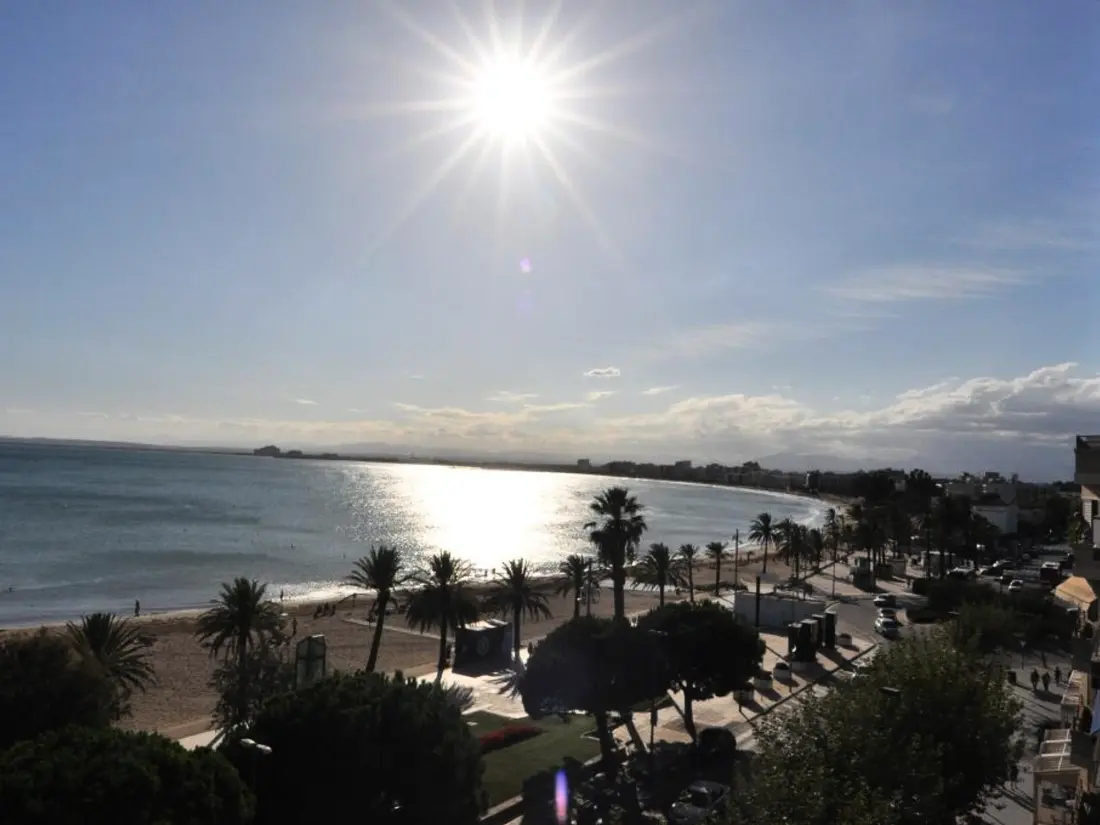 Location de Vacances Roses 507