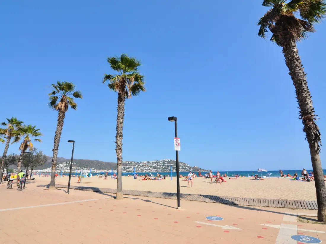 Location de Vacances Roses 512