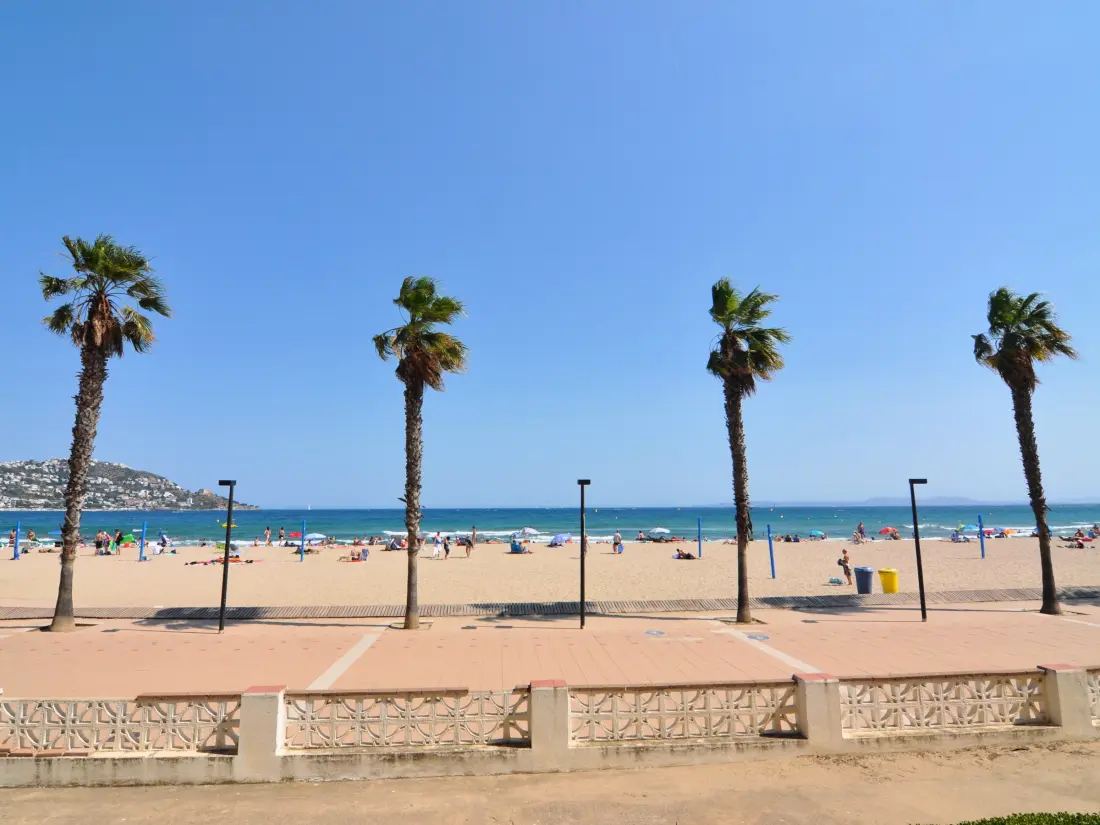Location de Vacances Roses 512