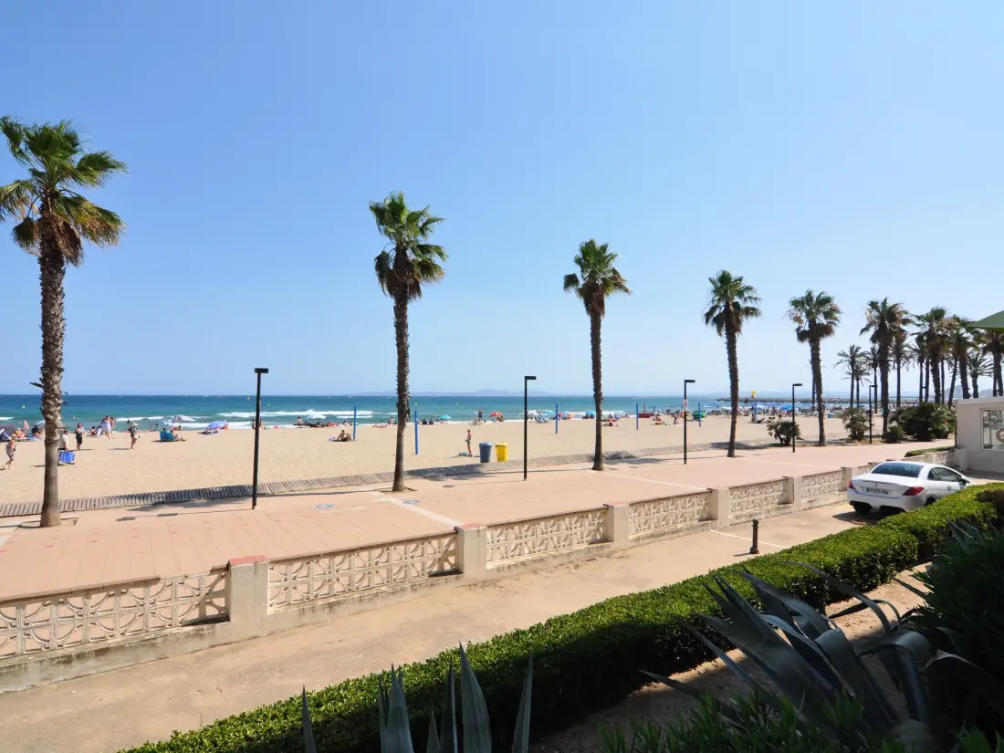 Location de Vacances Roses 512