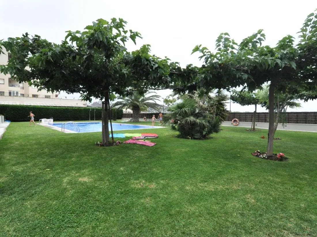 Location de Vacances Roses 513