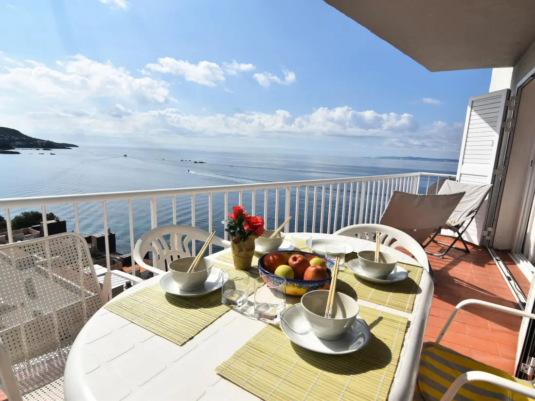 Location de Vacances Roses 515