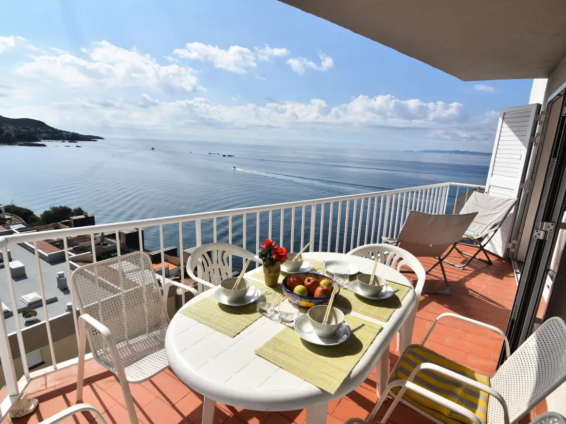 Location de Vacances Roses 515