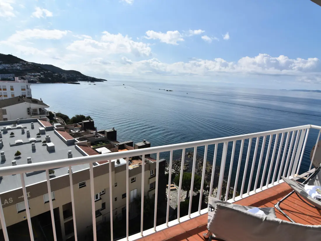 Location de Vacances Roses 515