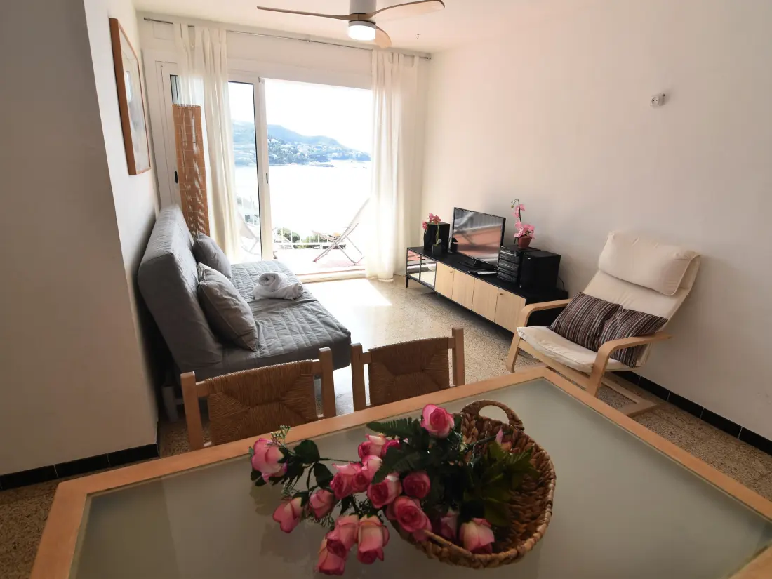 Location de Vacances Roses 515