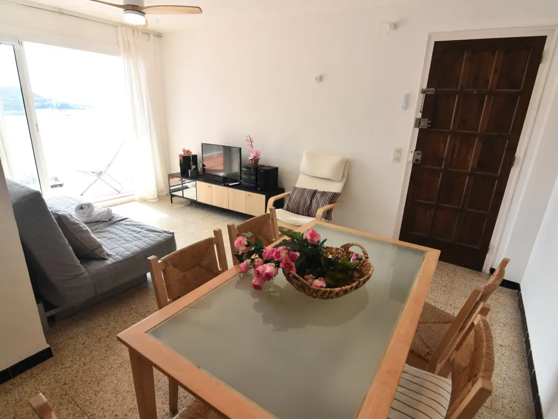 Location de Vacances Roses 515