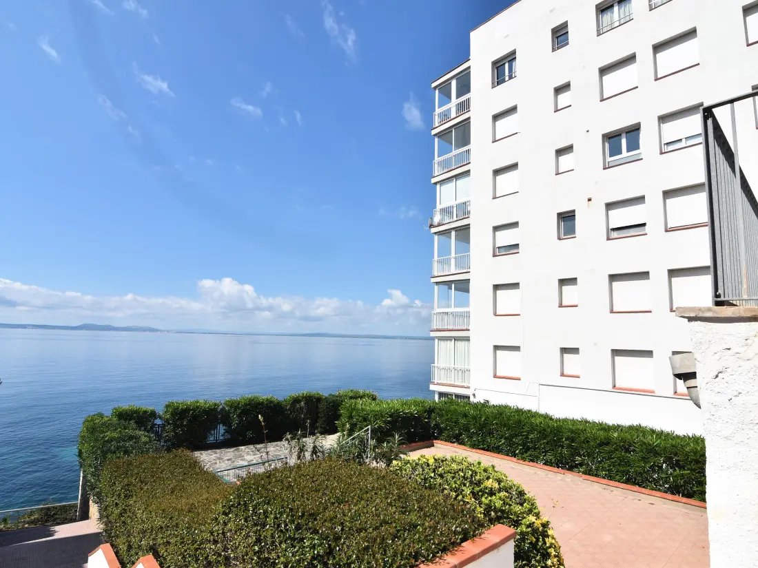 Location de Vacances Roses 515