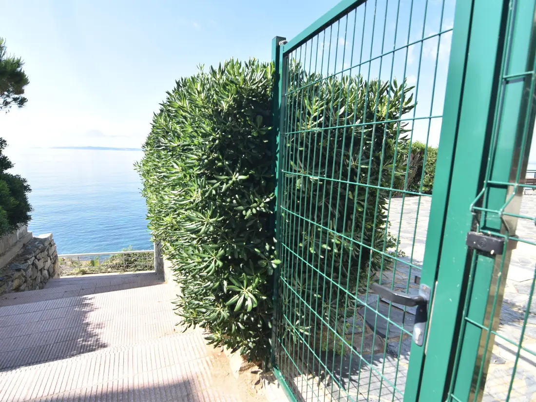 Location de Vacances Roses 515