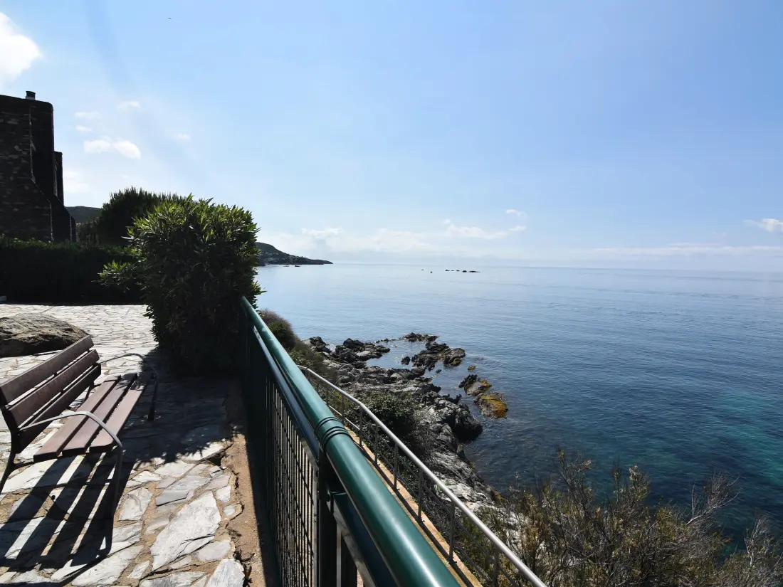 Location de Vacances Roses 515