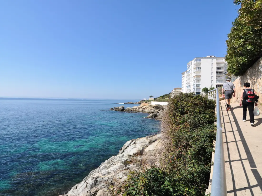 Location de Vacances Roses 515