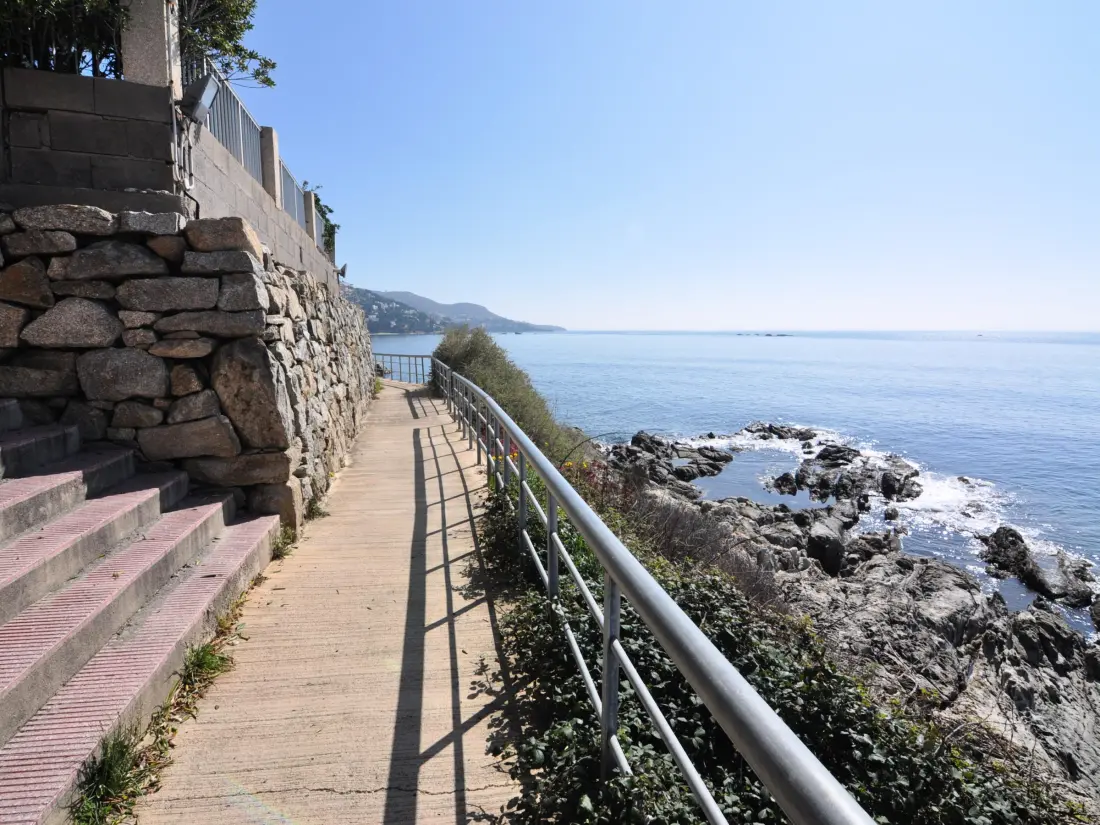 Location de Vacances Roses 515
