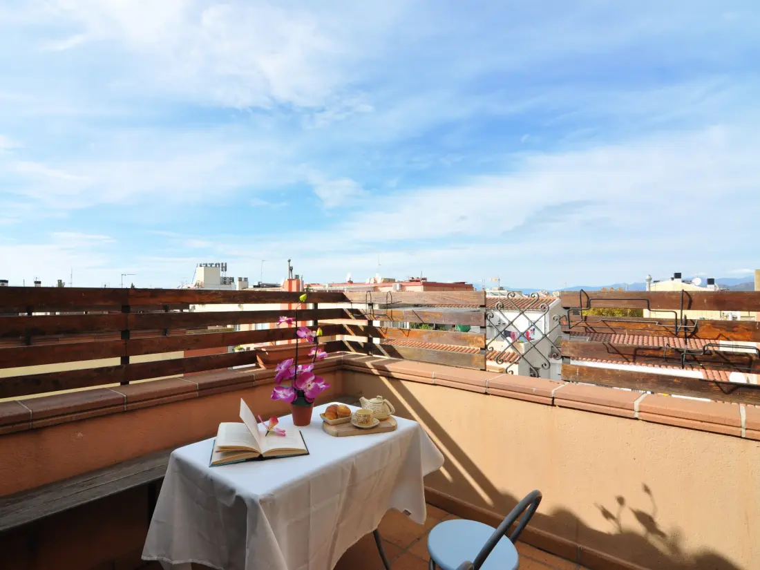 Location de Vacances Roses 516