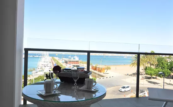 Location de Vacances Roses 517