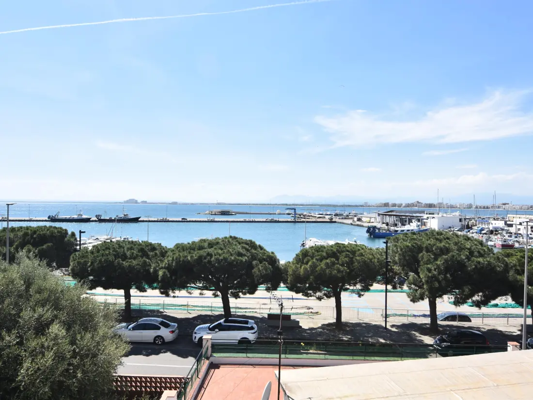 Location de Vacances Roses 520