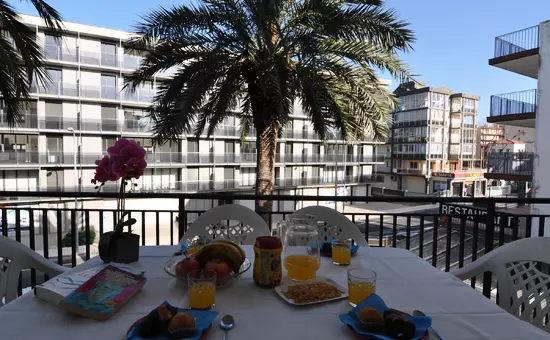 Location de Vacances Roses 522