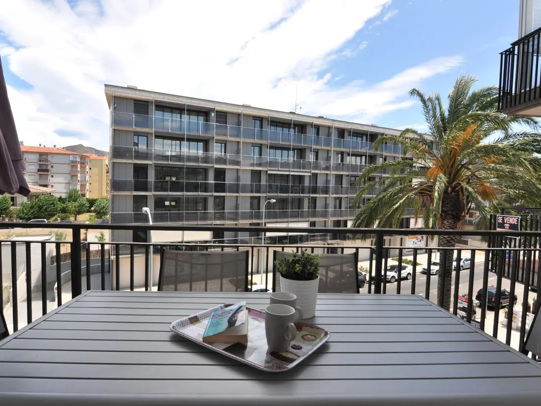 Location de Vacances Roses 523