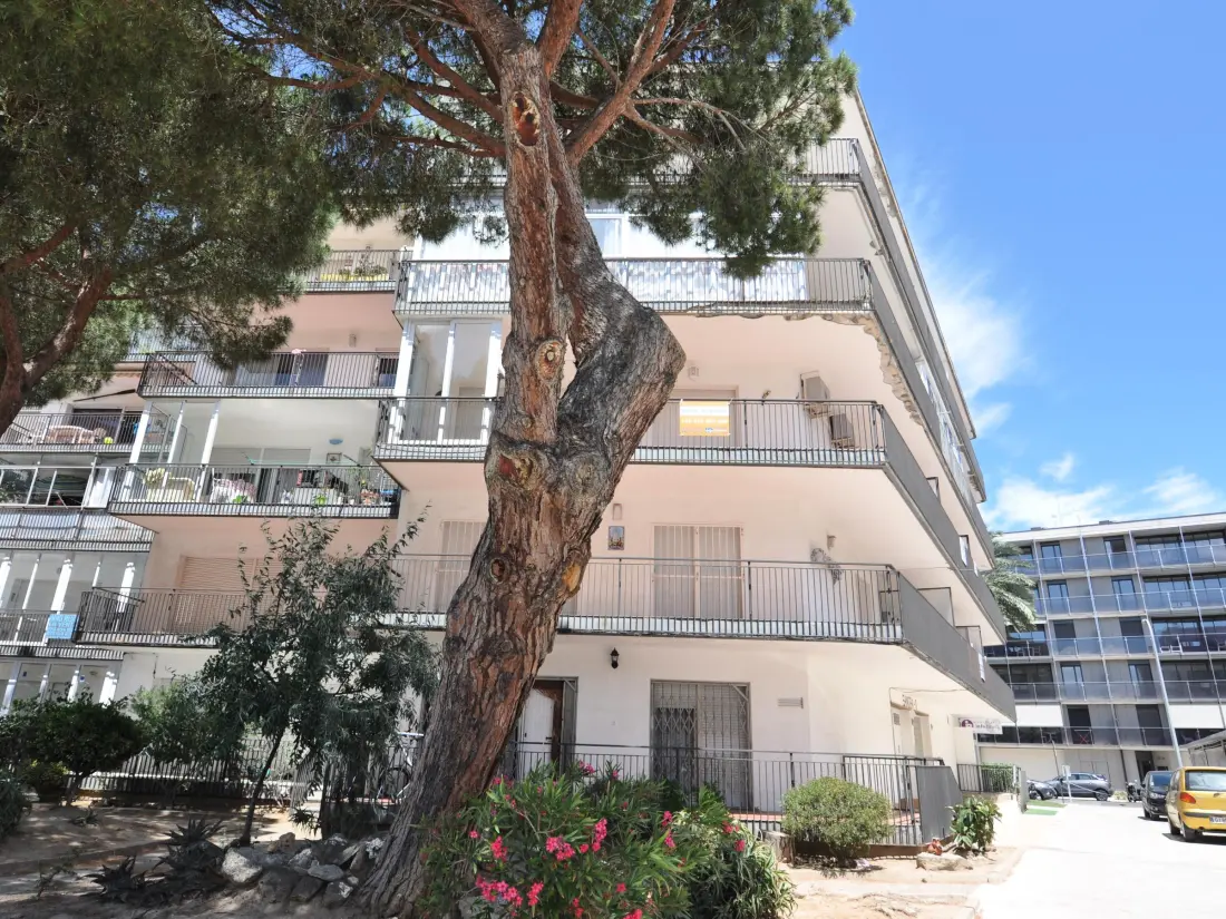 Location de Vacances Roses 523
