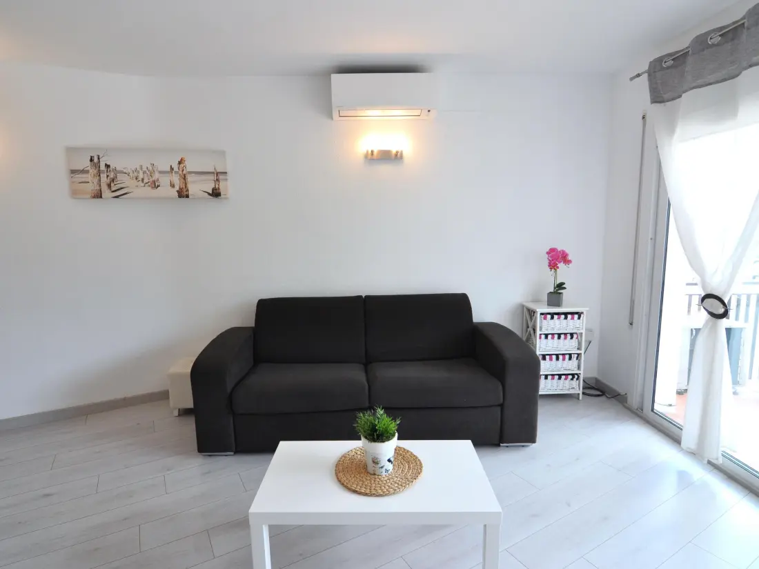 Location de Vacances Roses 523