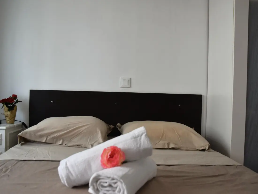 Location de Vacances Roses 527
