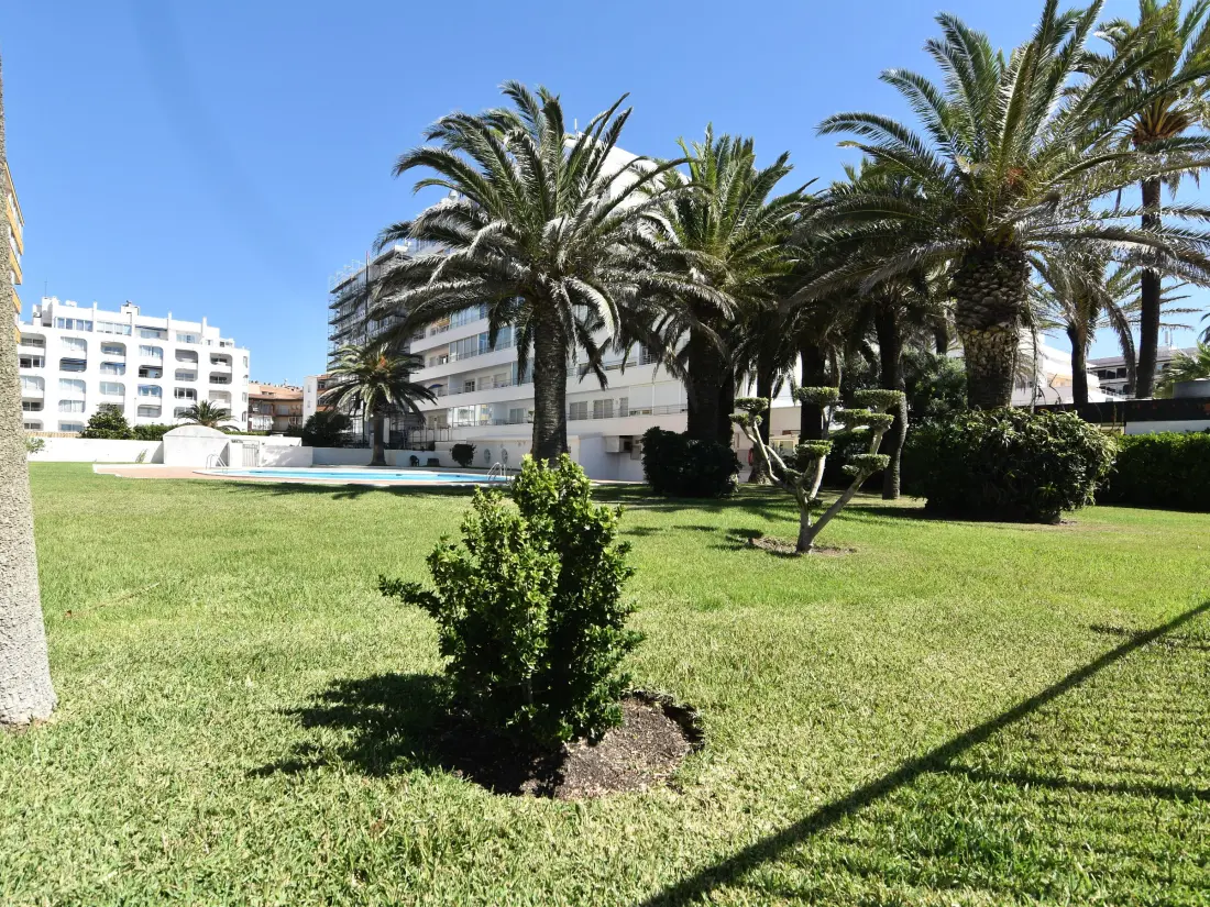 Location de Vacances Roses 527