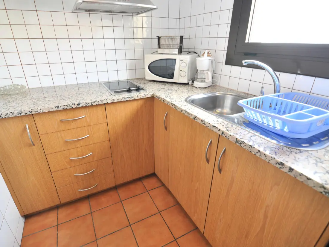Location de Vacances Roses 530