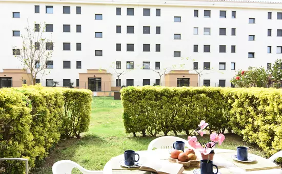 Location de Vacances Roses 531