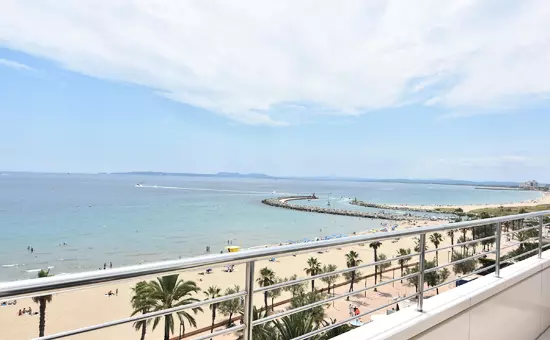 Location de Vacances Roses 532