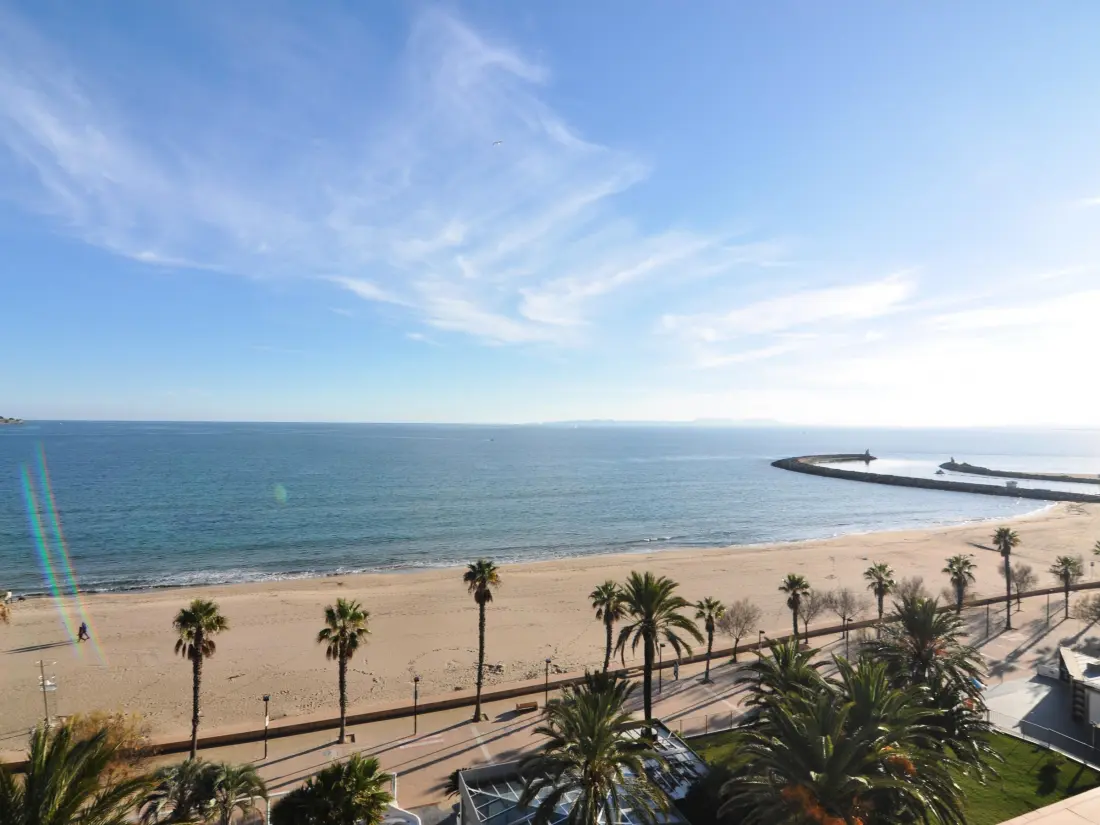 Location de Vacances Roses 532