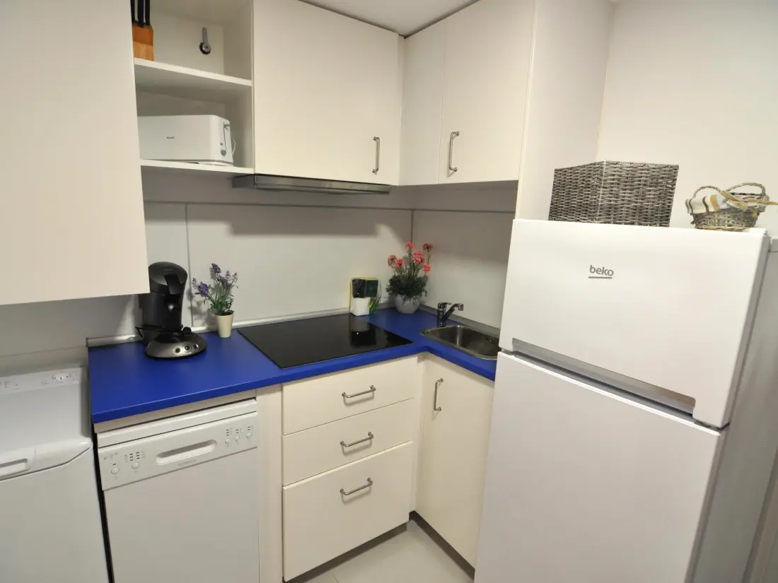 Location de Vacances Roses 532