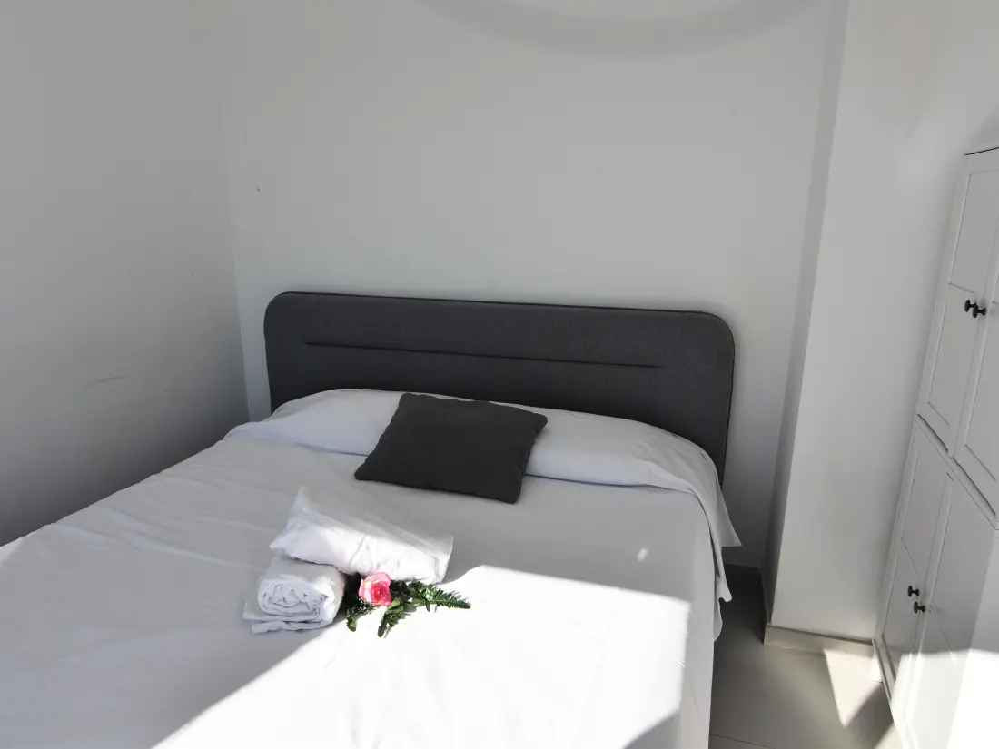 Location de Vacances Roses 532