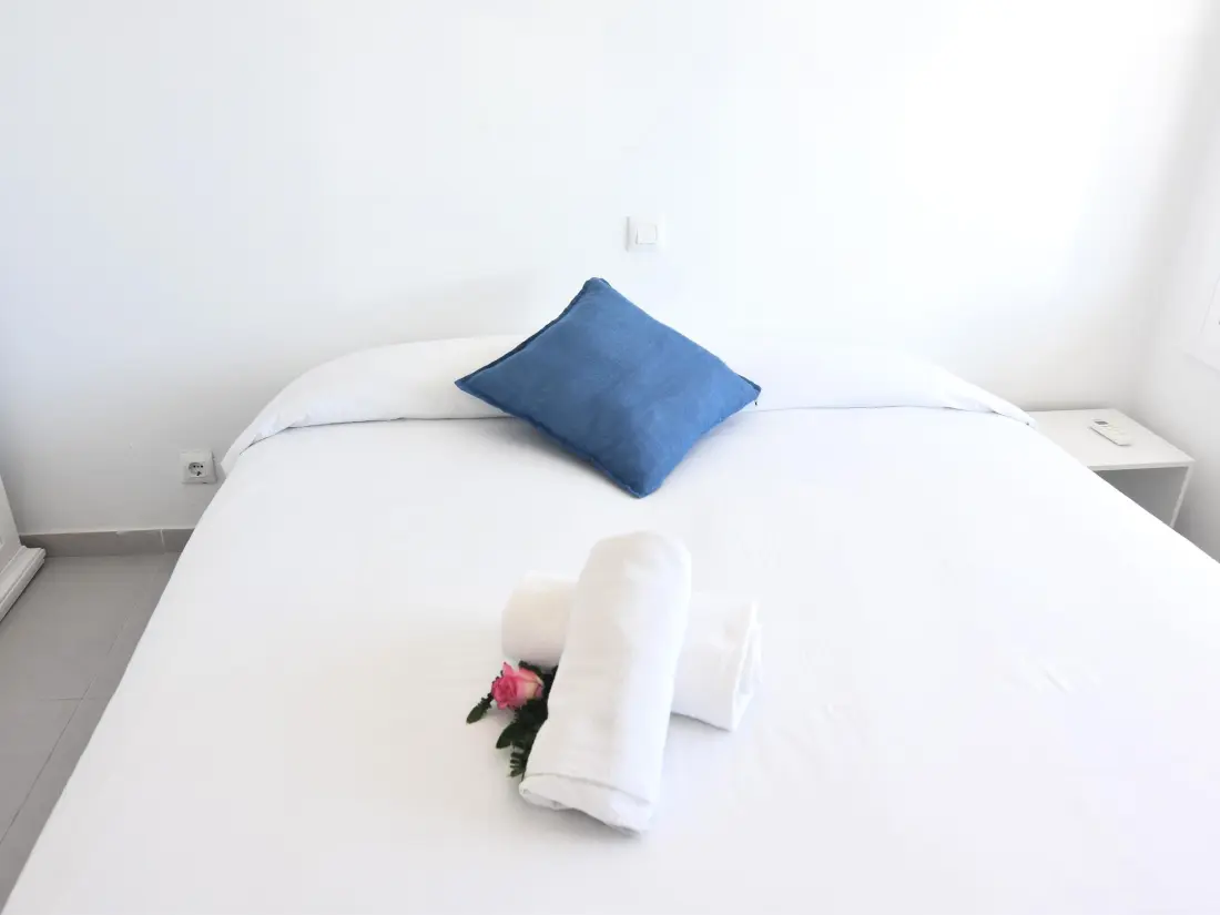 Location de Vacances Roses 532