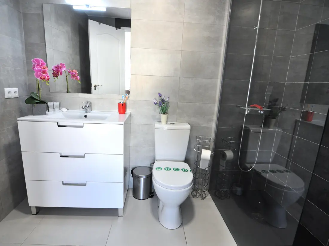 Location de Vacances Roses 532
