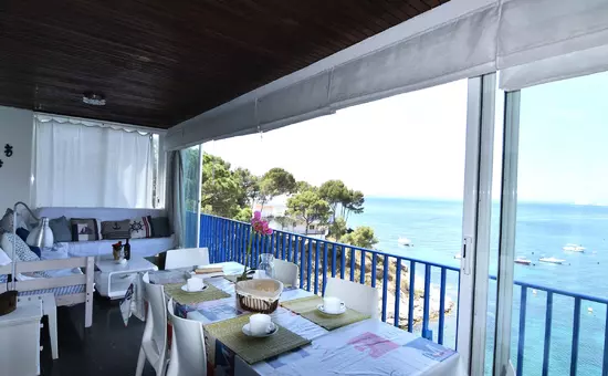 Location de Vacances Roses 534